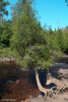 Temperance State Park © Andor&nbsp;(1)