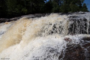 Temperance State Park © Andor&nbsp;(11)