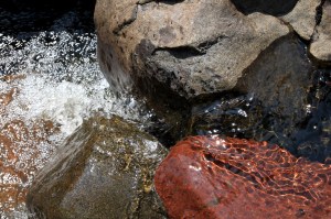 Wandering the North Shore&nbsp;(12)