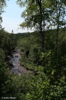 Wandering the North Shore&nbsp;(14)