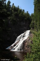 Wandering the North Shore&nbsp;(16)