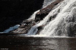 Wandering the North Shore&nbsp;(17)