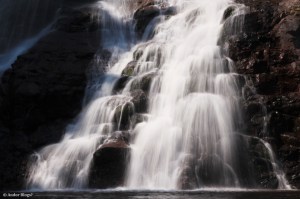 Wandering the North Shore&nbsp;(19)