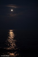 Wandering the North Shore&nbsp;(25)