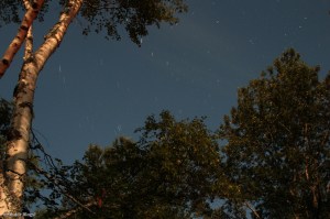 Wandering the North Shore&nbsp;(26)