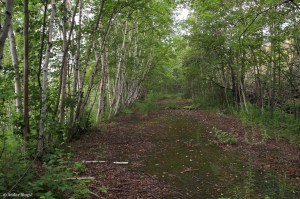 Wandering the North Shore&nbsp;(30)