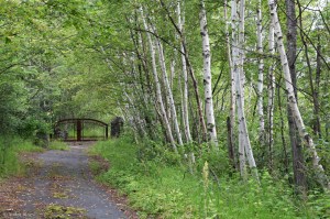 Wandering the North Shore&nbsp;(31)