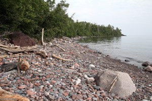 Wandering the North Shore&nbsp;(33)