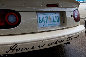 Final Bout – Hot Boyz © Andor&nbsp;(5)