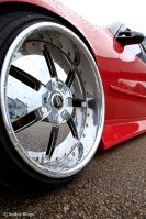 Final Bout – Risky Devil © Andor&nbsp;(12)