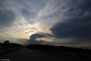 Looking Out the Window © Andor&nbsp;(1)