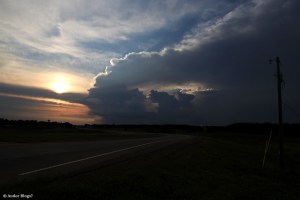 Looking Out the Window © Andor&nbsp;(3)