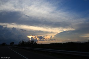 Looking Out the Window © Andor&nbsp;(4)