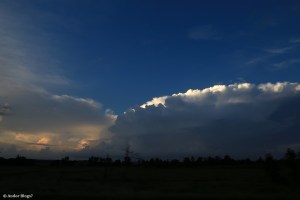 Looking Out the Window © Andor&nbsp;(5)