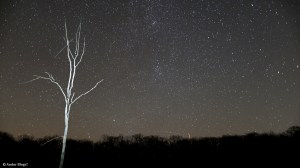 Night Sky © Andor&nbsp;(1)