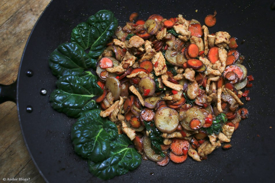 Garden Fresh Stir Fry © Andor