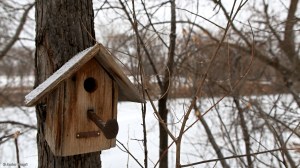 Down by the River © Andor&nbsp;(3)