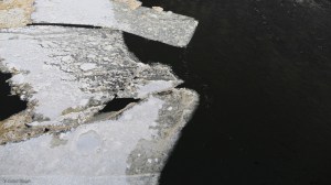 Down by the River © Andor&nbsp;(8)