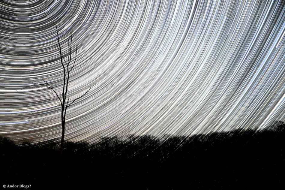 Tree and Stars at Mille Lacs Kathio State Park © Andor (1)