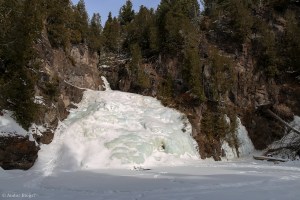 Caribou © Andor&nbsp;(1)