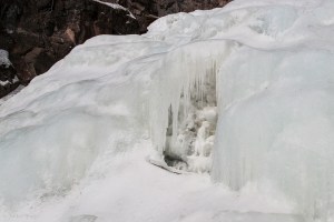 Caribou © Andor&nbsp;(6)