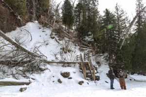 Caribou © Andor&nbsp;(7)