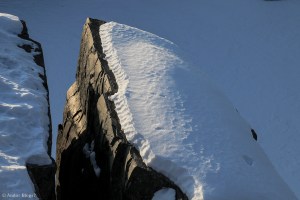 Jay Cooke © Andor&nbsp;(3)