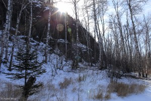 Palisade Head © Andor&nbsp;(18)