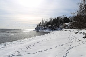 Rock Beach © Andor&nbsp;(1)