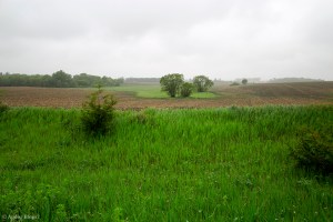 Chasing Waterfalls in the Rain © Andor&nbsp;(10)