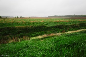 Chasing Waterfalls in the Rain © Andor&nbsp;(9)